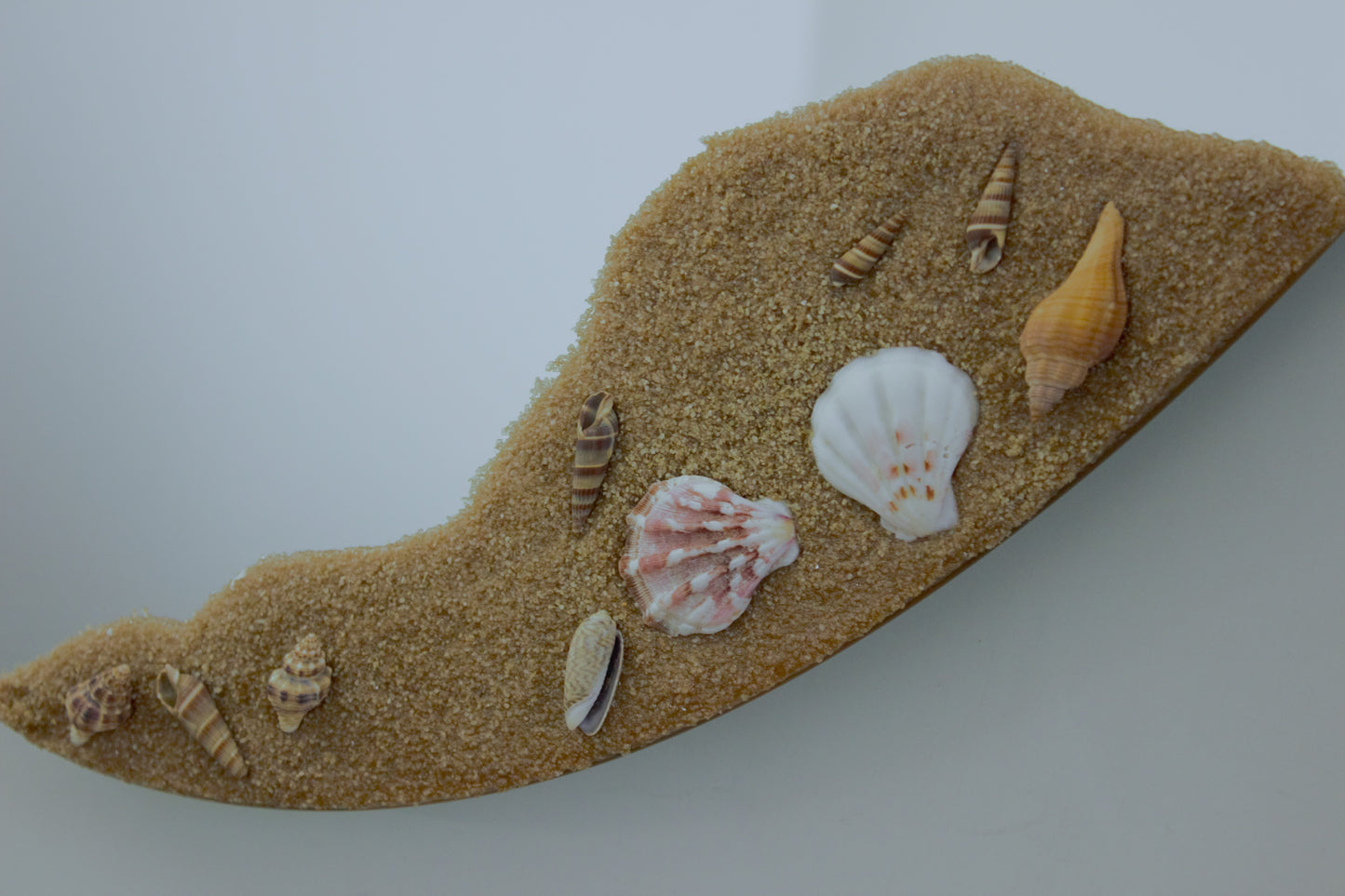 Specchio: Conchiglia