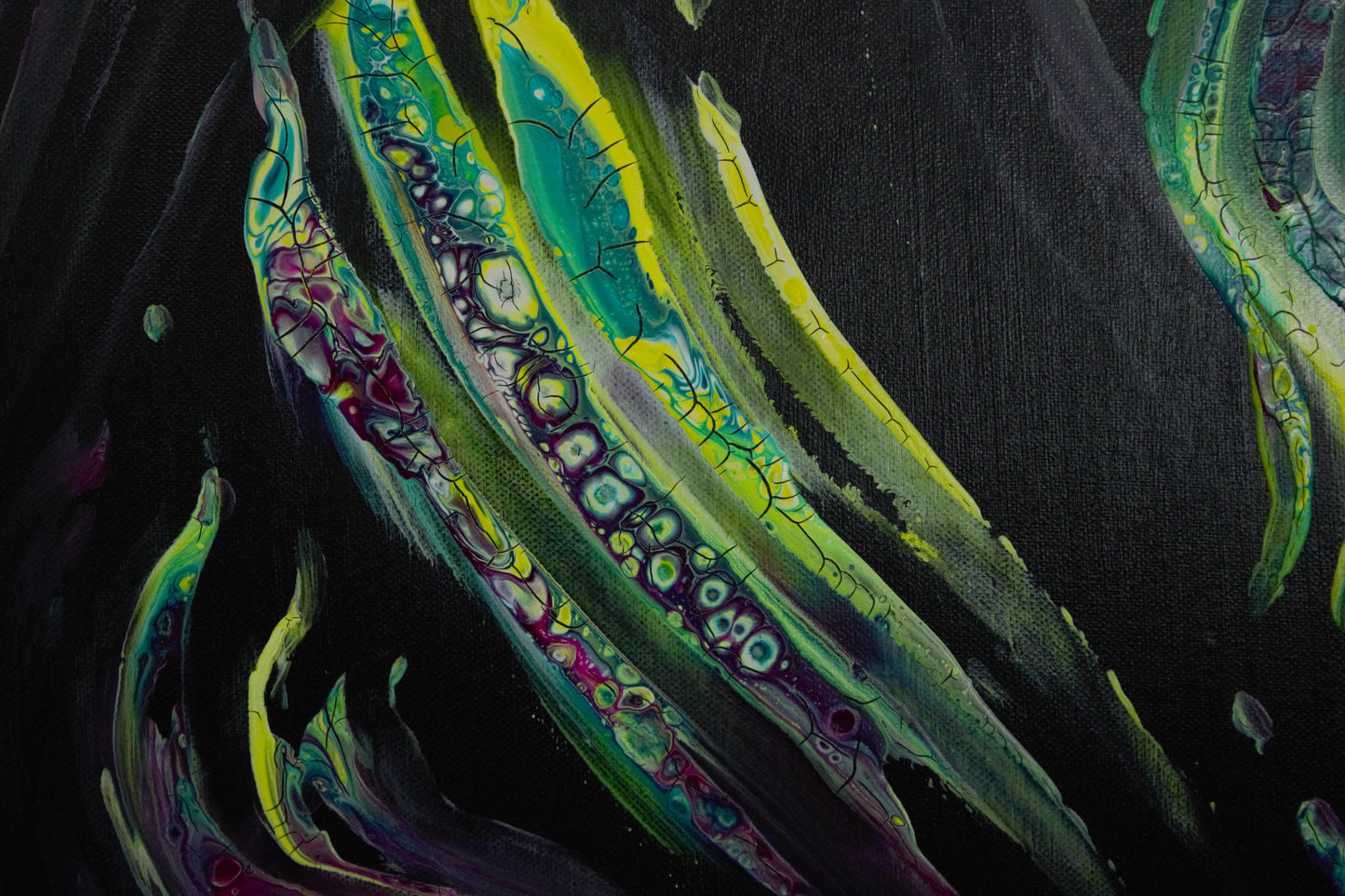 Acrilico su Tela: I Rassicuranti